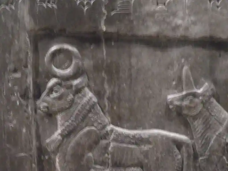 Solar disc horn of a river-ox on the Black Obelisk of Shalmanese III